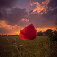 Lesen LED Bilder Bewertungen